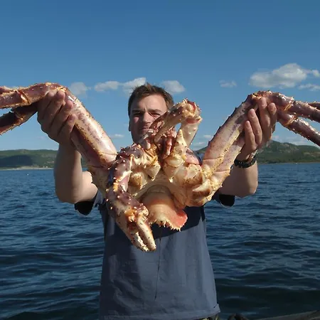 فندق Thon ألتا